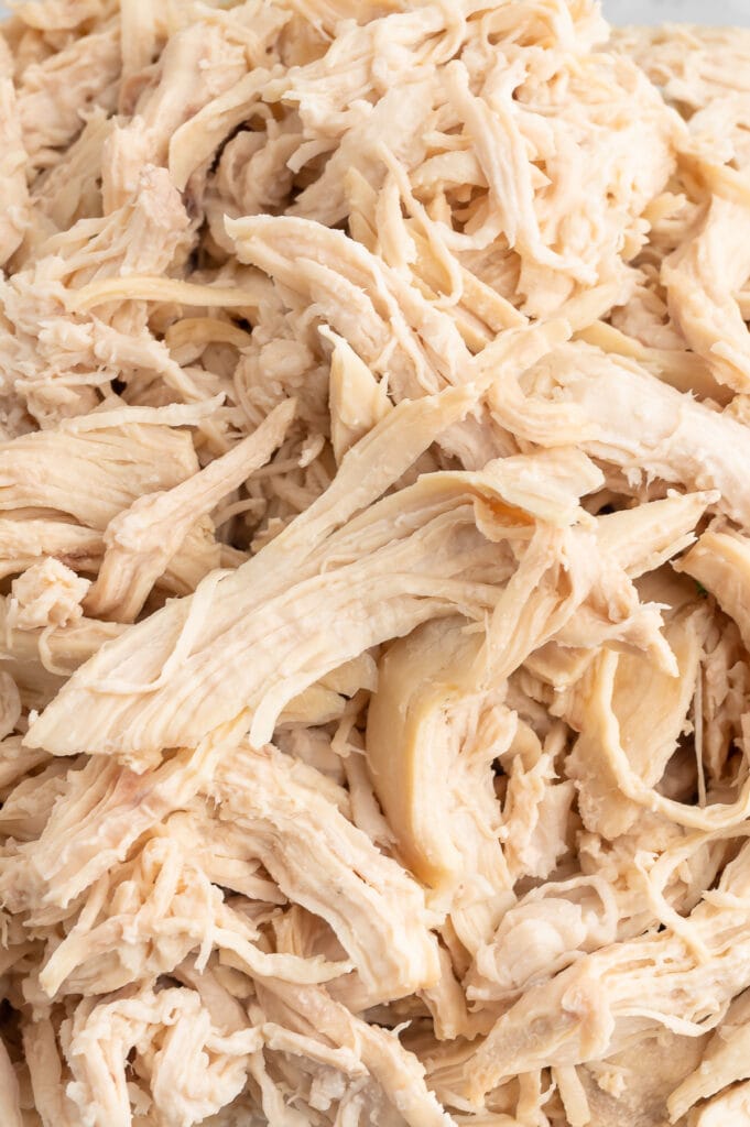 up close picture of shredded chicken